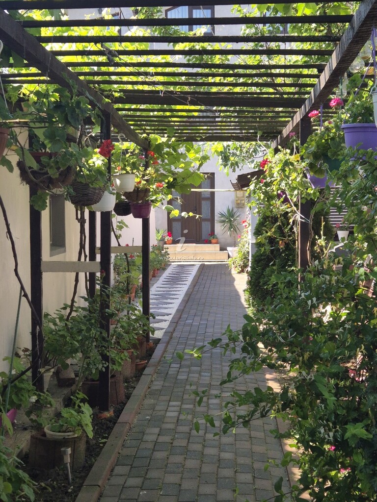 Vila Olli