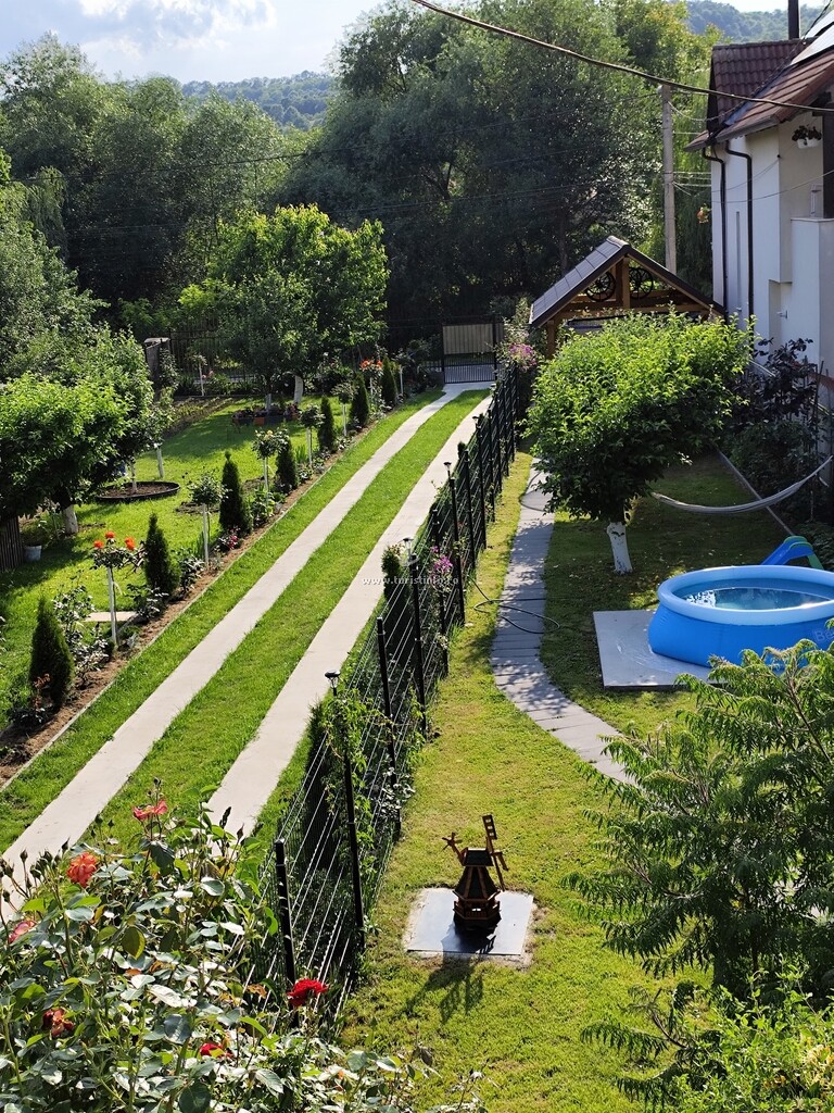 JJ Zăvoi