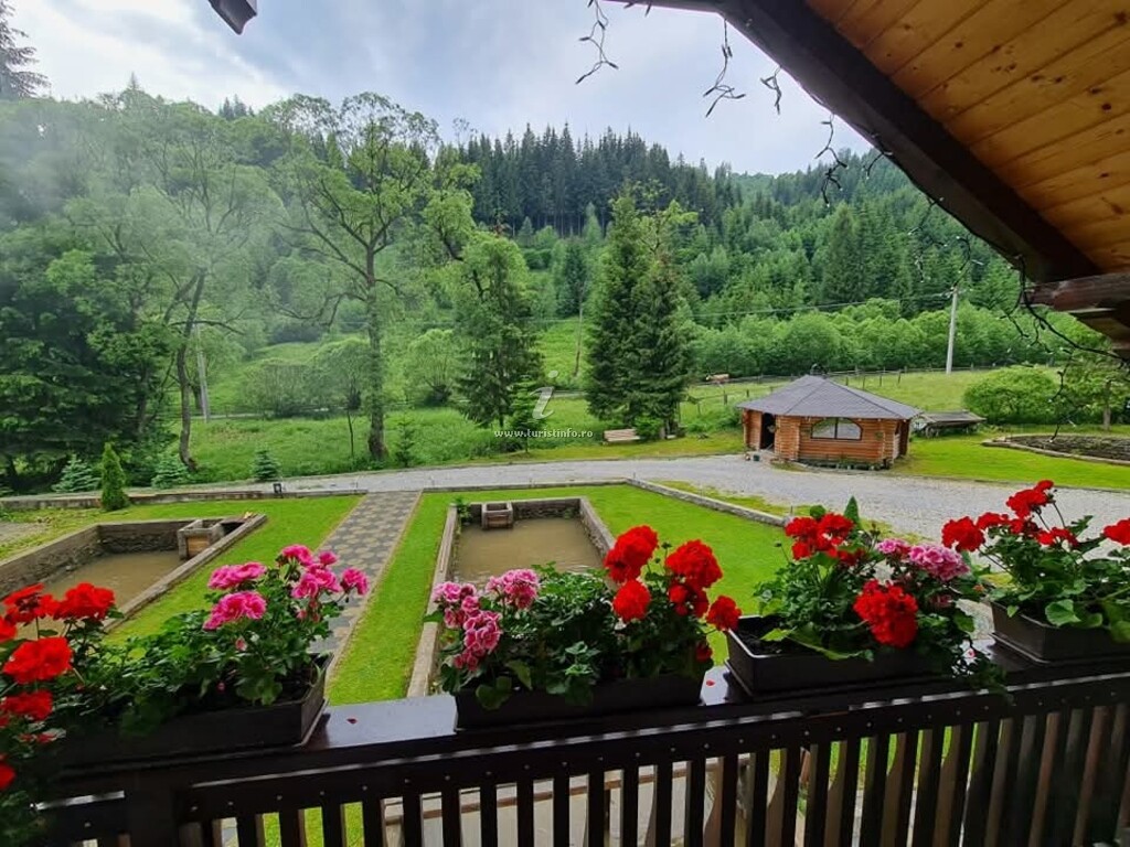 La Poalele Giumalăului
