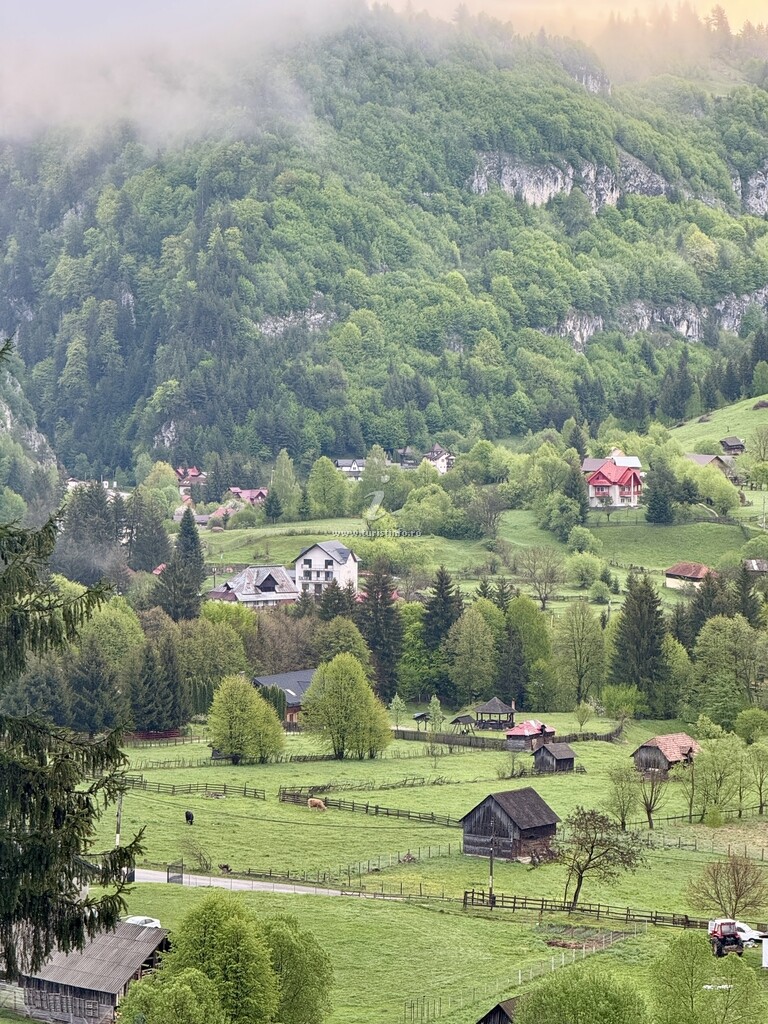 Casa Ioana și Florin