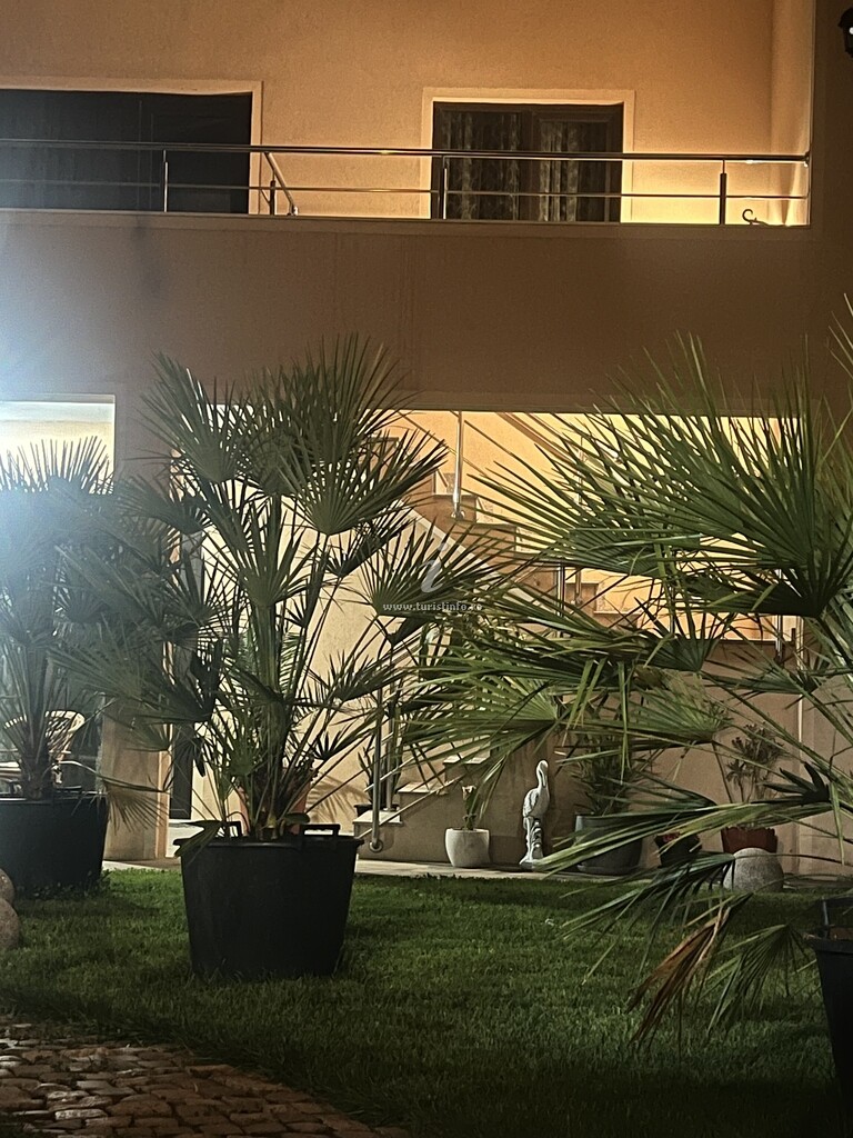 Casa Otilia