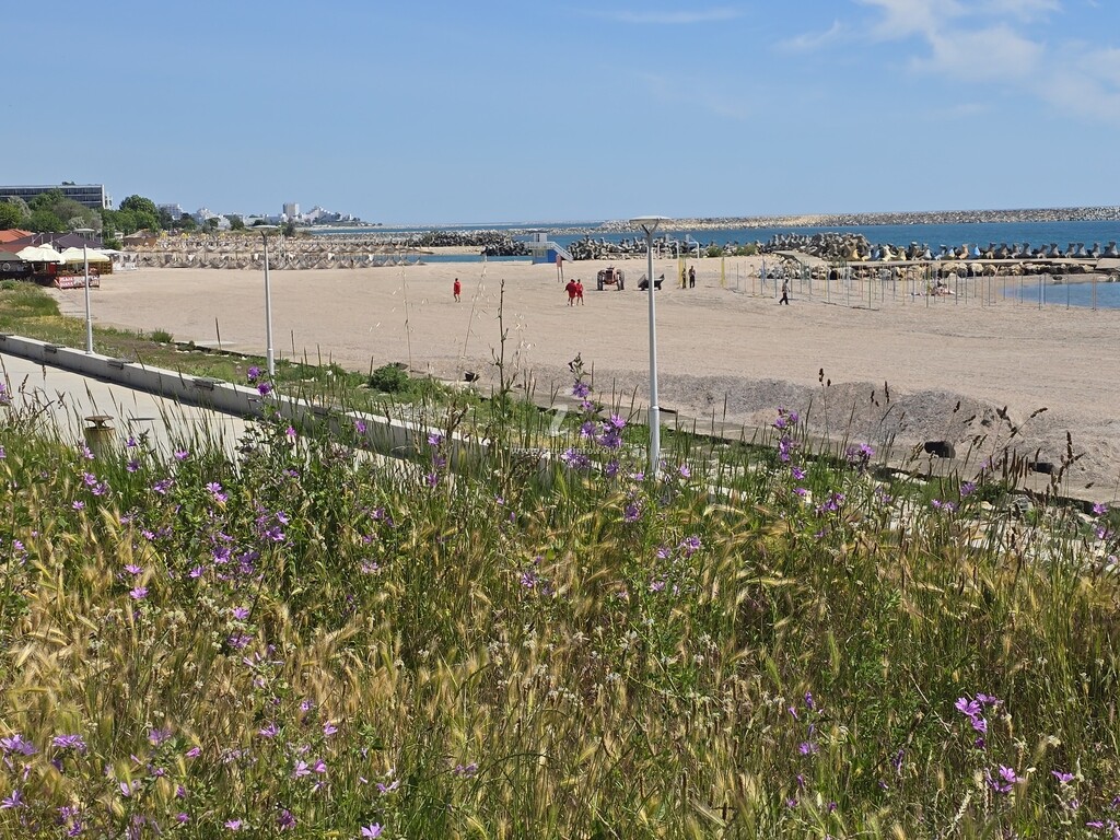 Apartament cu vedere la Mare
