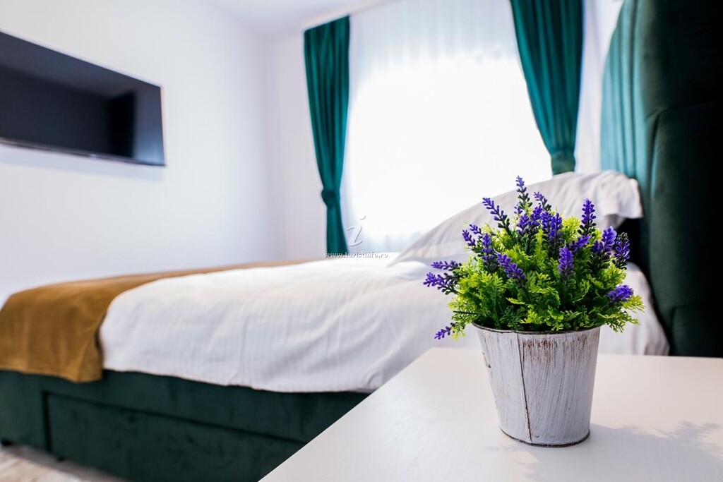 Apartament Domus Regis