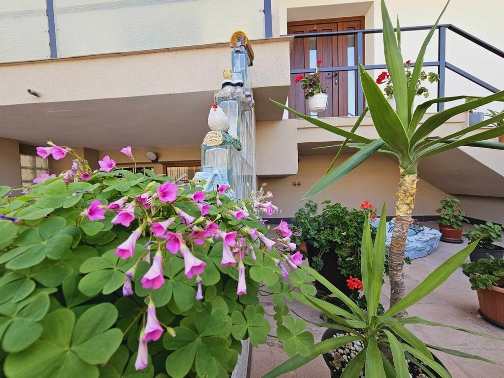 Casa Romika