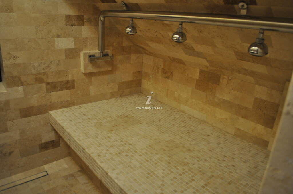 Pensiunea Transylvania Villa & SPA