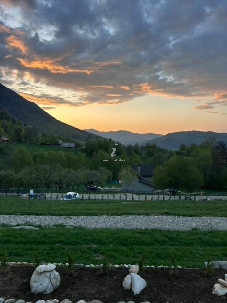 Căsuțele Forest Cuib