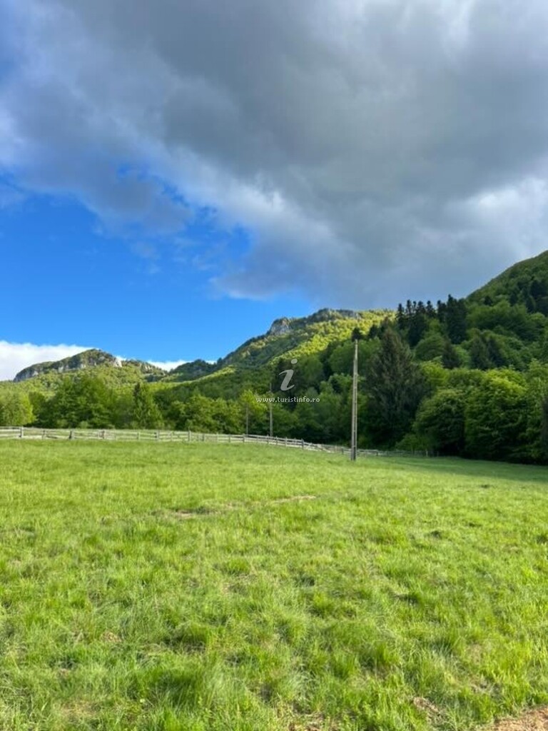 Căsuțele Forest Cuib