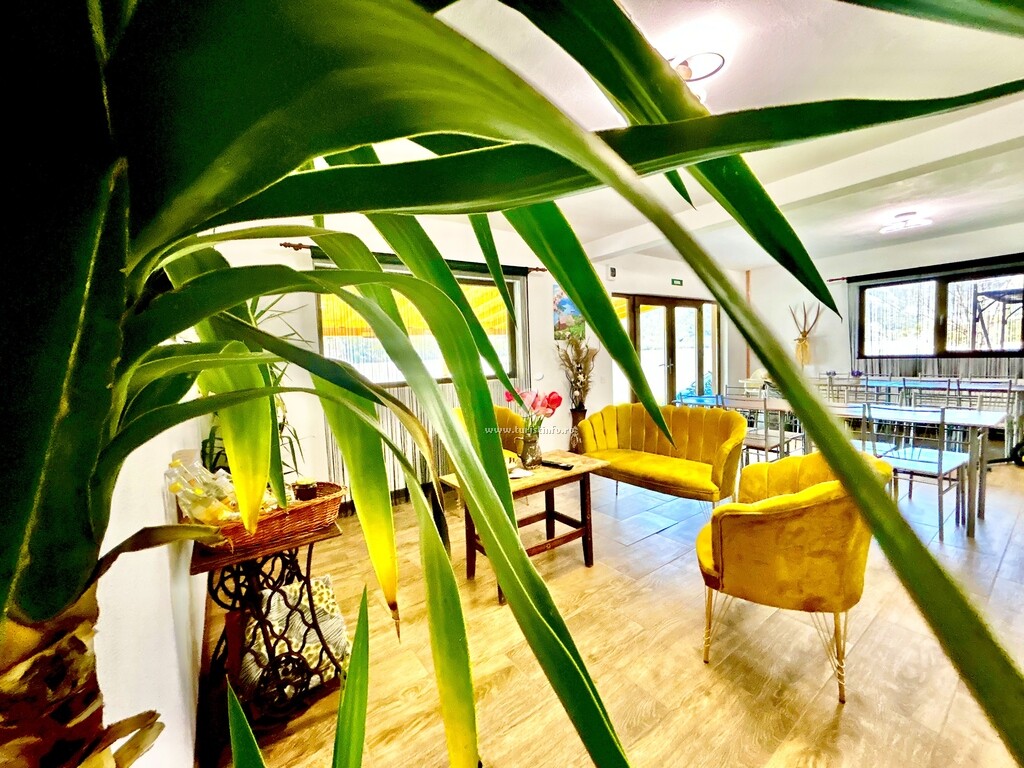 Casa Damir