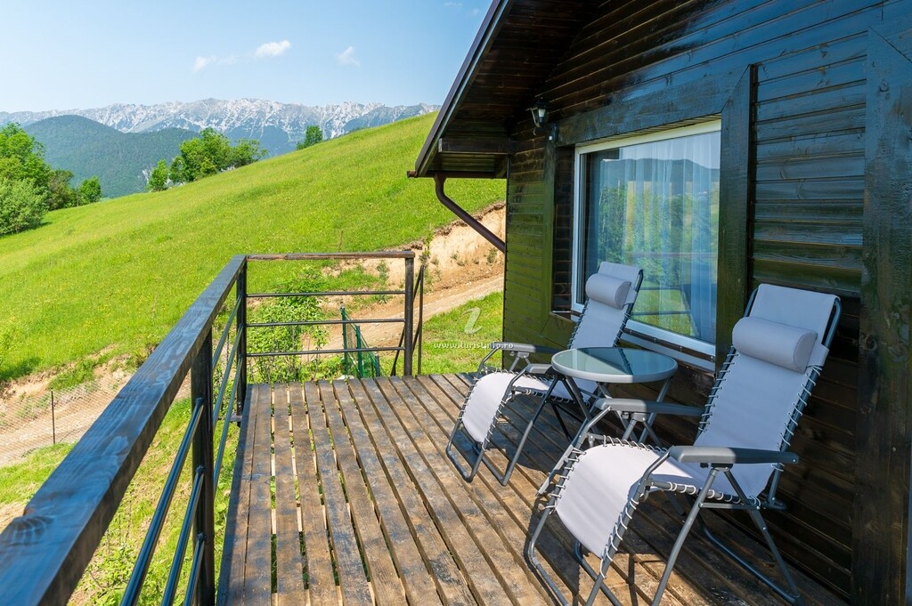 Cabana Colnic Tiny House