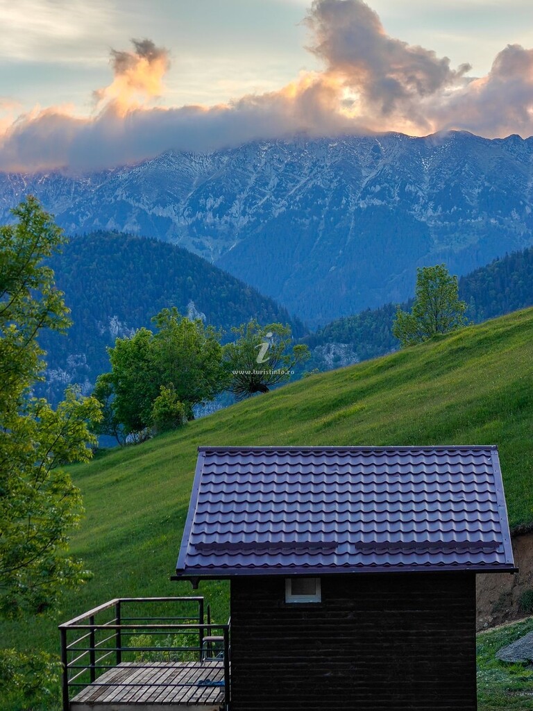 Cabana Colnic Tiny House