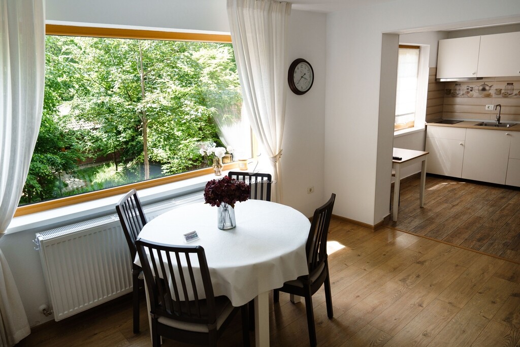 Cabana Pintea Chalet