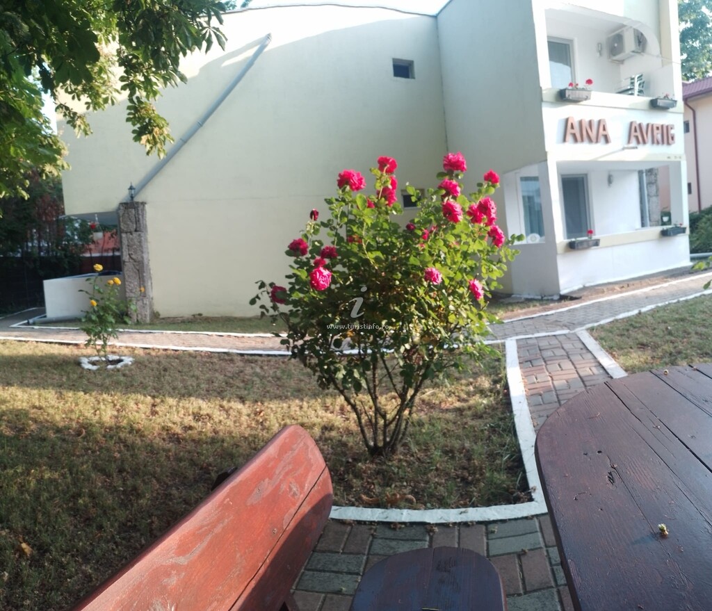 Camere de închiriat Ana Avrig