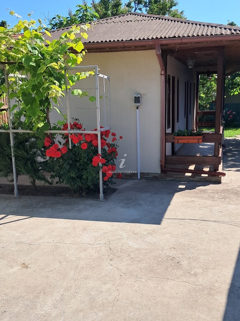 Casa de vacanță Meduza