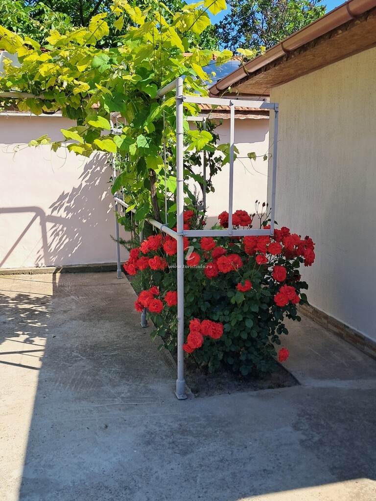 Casa de vacanță Meduza