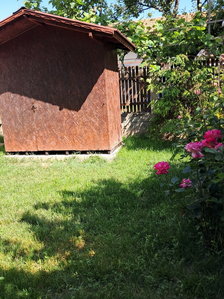 Casa de vacanță Meduza