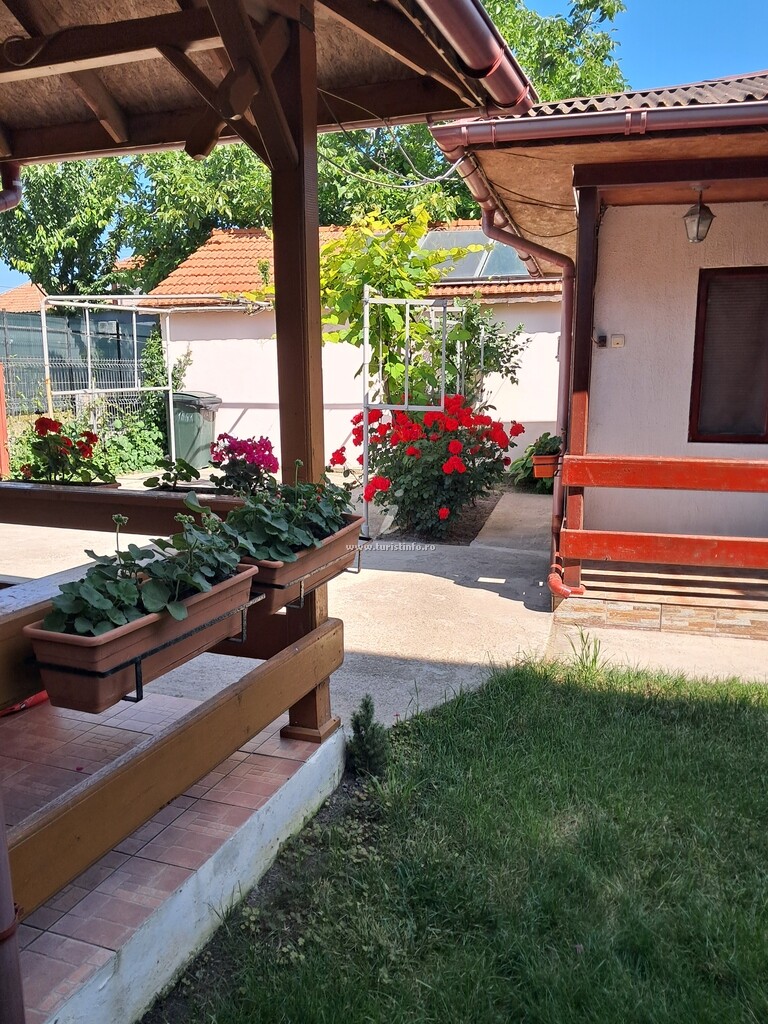 Casa de vacanță Meduza
