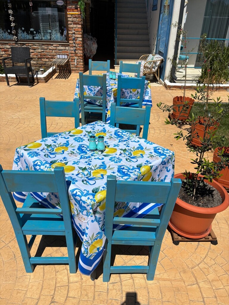 Casa Mavi