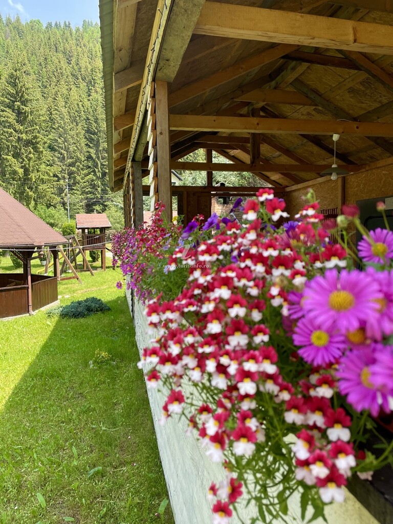 Casa Izvor de munte