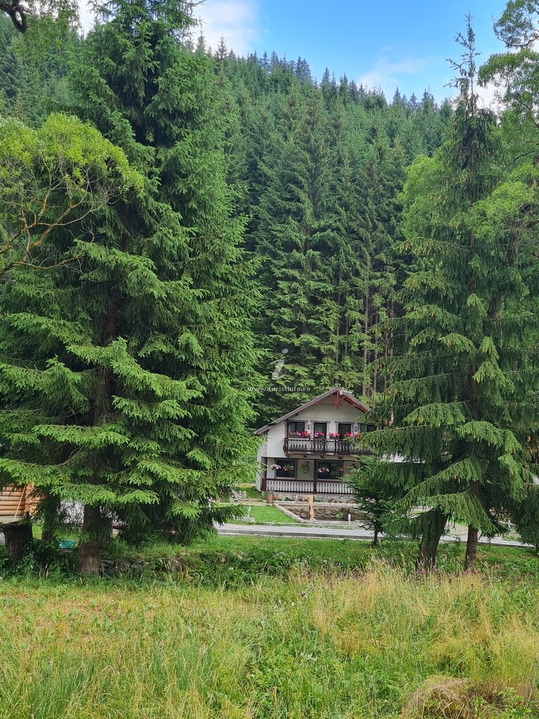 La Poalele Giumalăului