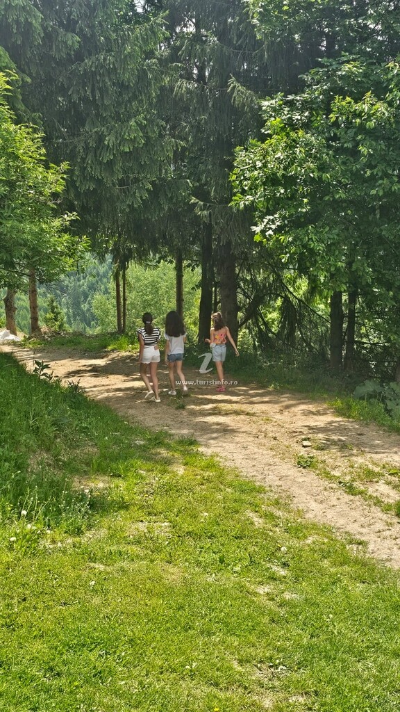 Cabana Vârful Muntelui