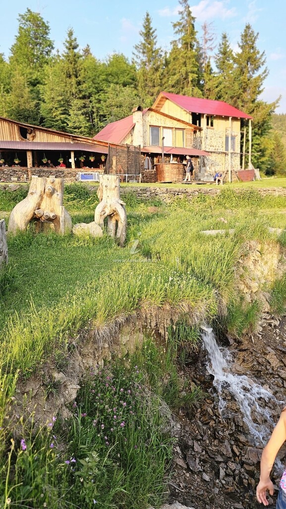 Cabana Vârful Muntelui