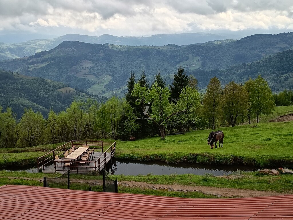 Cabana Vârful Muntelui