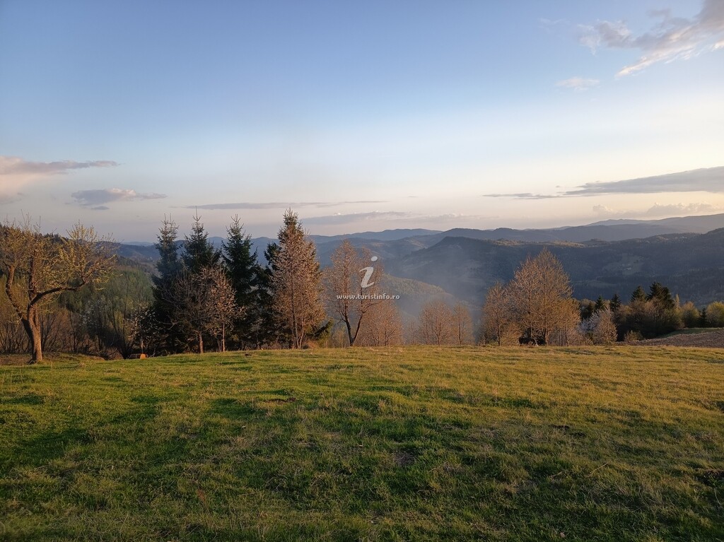 Cabana Vârful Muntelui