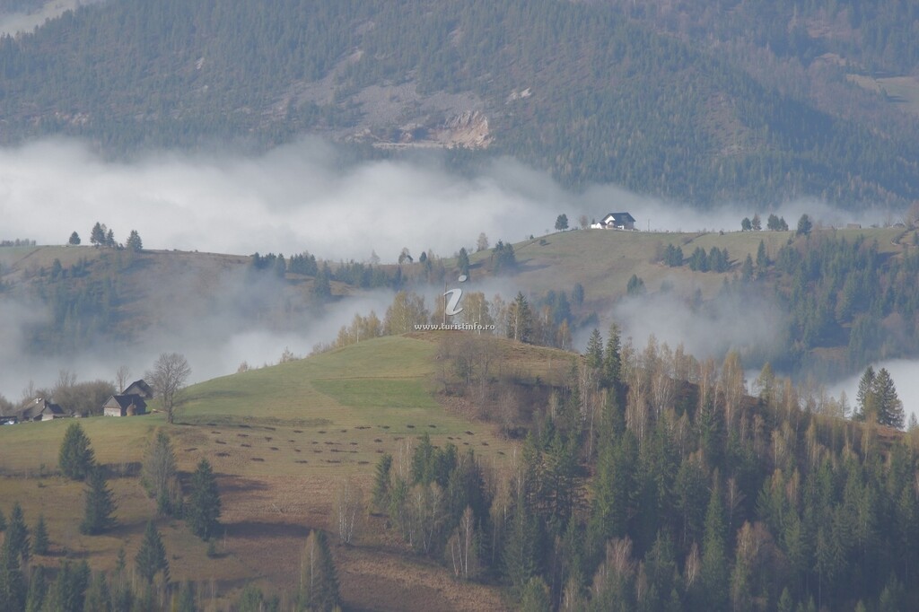 Cabana Vârful Muntelui
