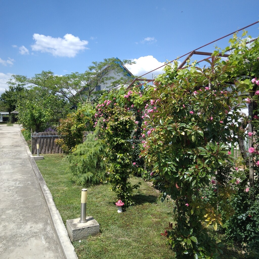 Pensiunea Agroturistică Rustic