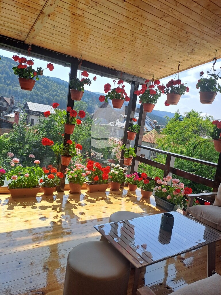 Casa Nick