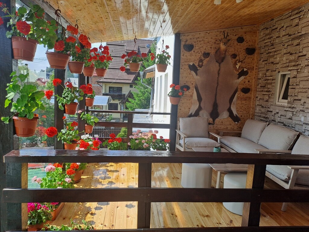 Casa Nick