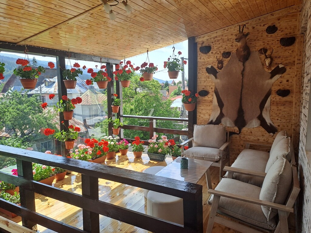 Casa Nick