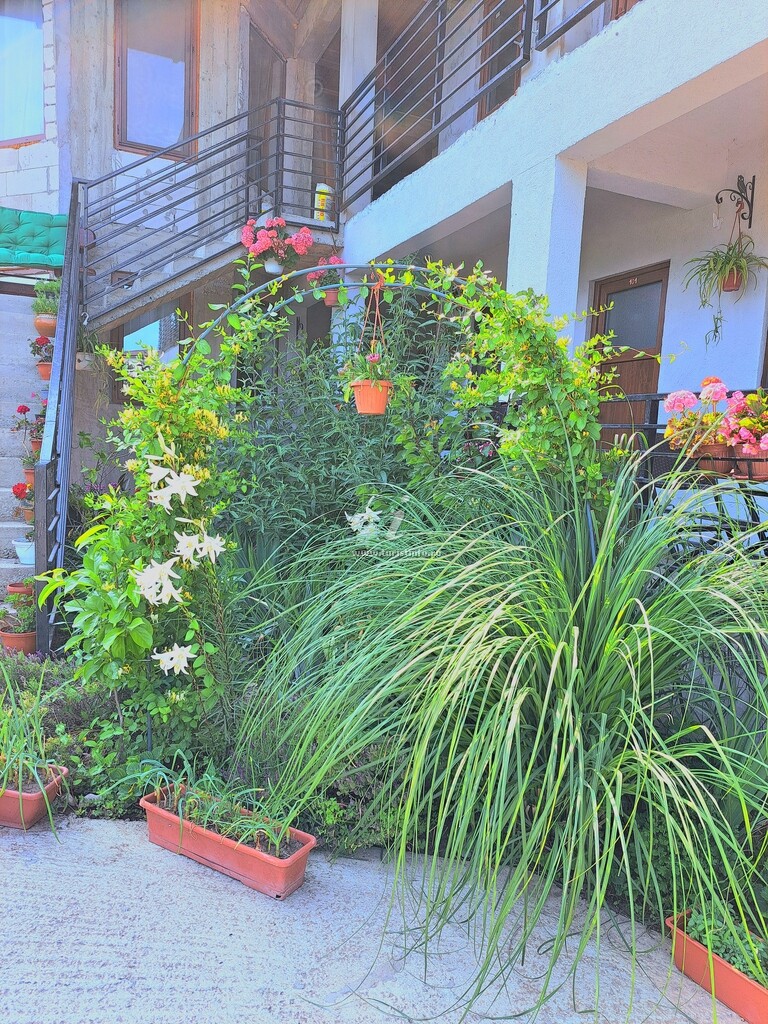 Casa Gabriela