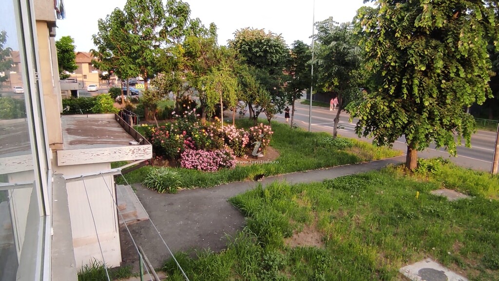 Apartament Camelia