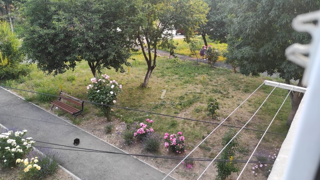 Apartament Camelia