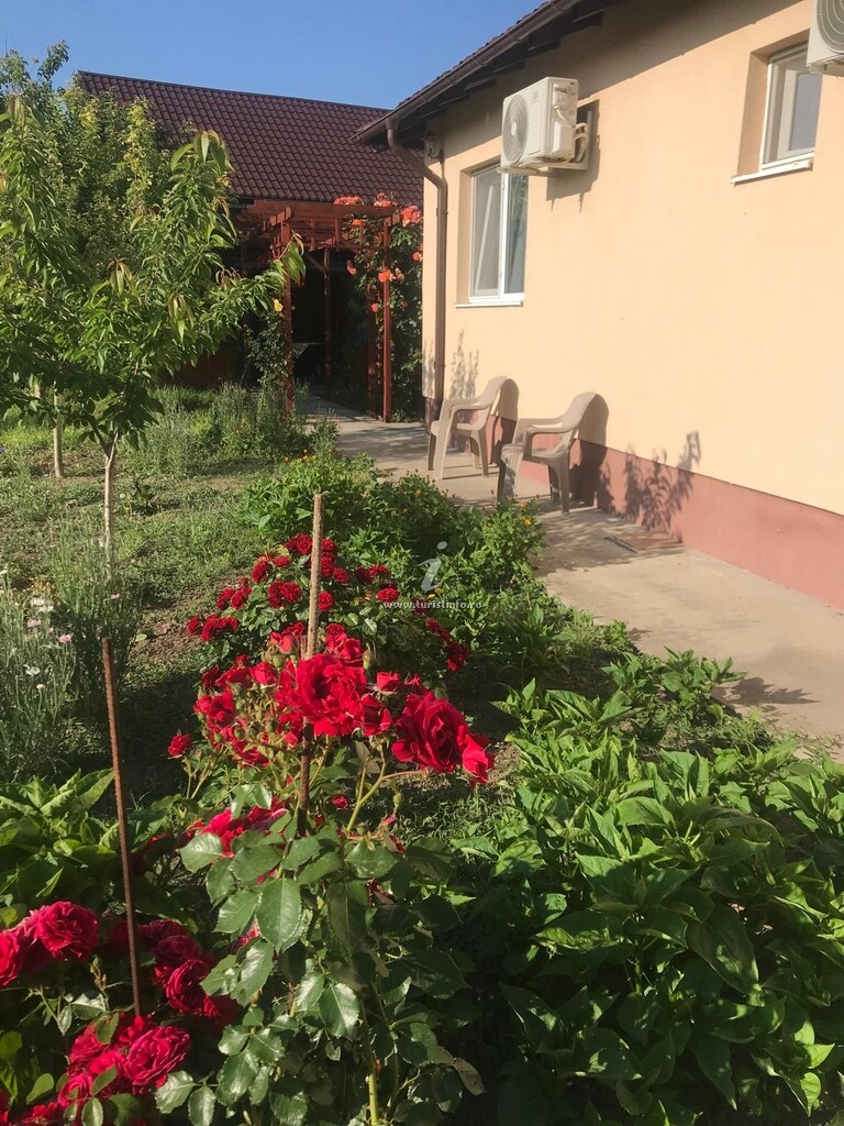 Casa de vacanță Alex