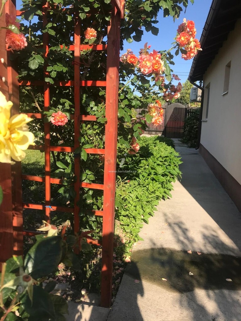 Casa de vacanță Alex
