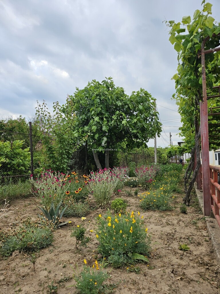 Casa Laur