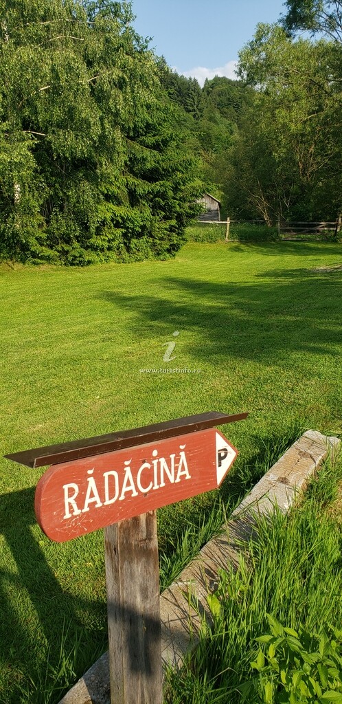 Pensiunea Rădăcină