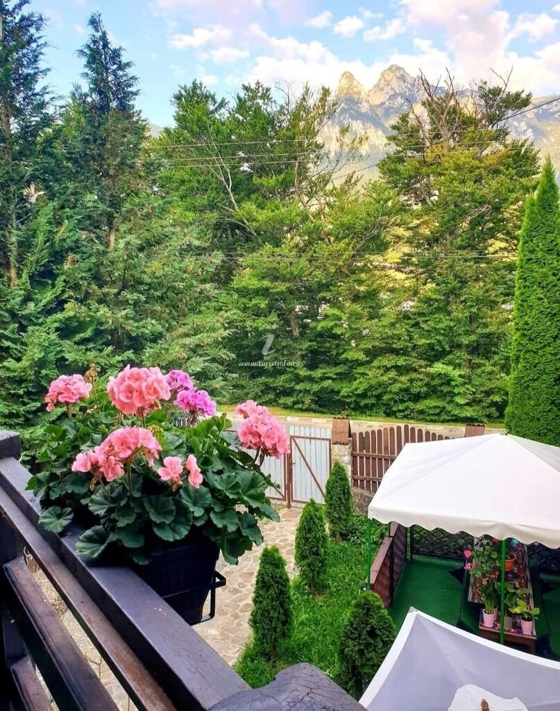 Casa de vacanță Cabana Bellavista