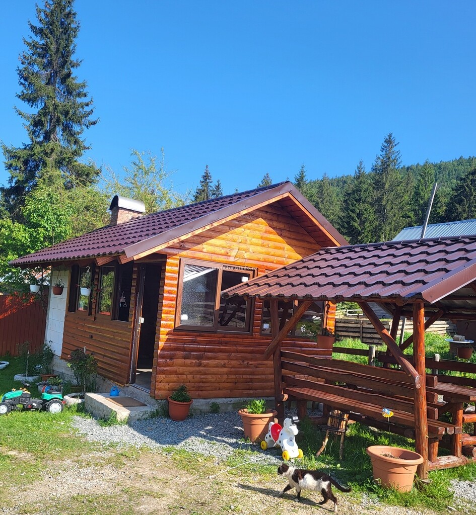 Cabana Poiana Vârtop