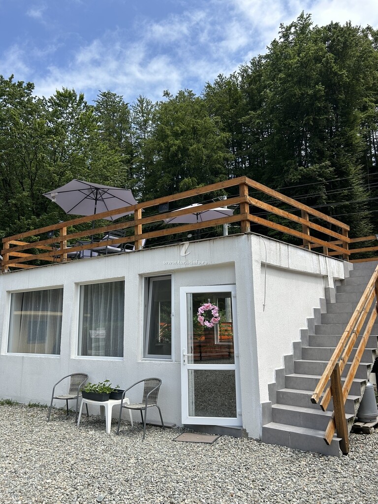 Bungalow Green Forest Transfăgărășan