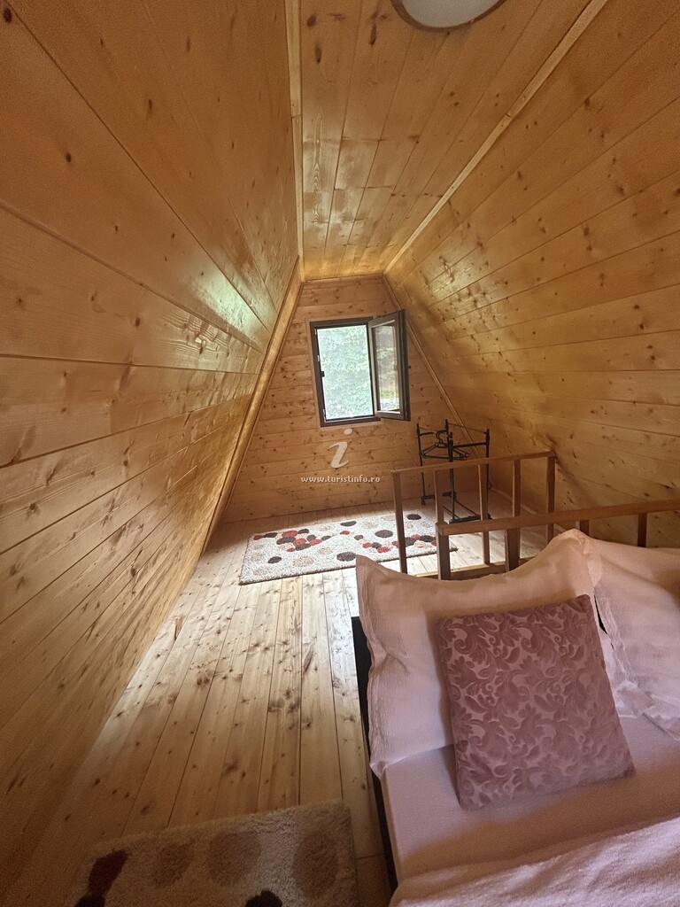 Bungalow Green Forest Transfăgărășan