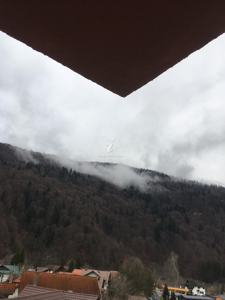 Splendid View
