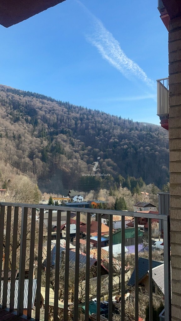 Splendid View