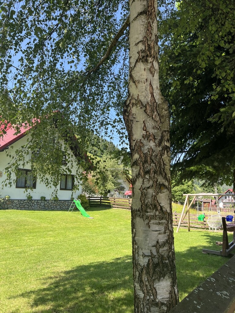 Vila Angelescu