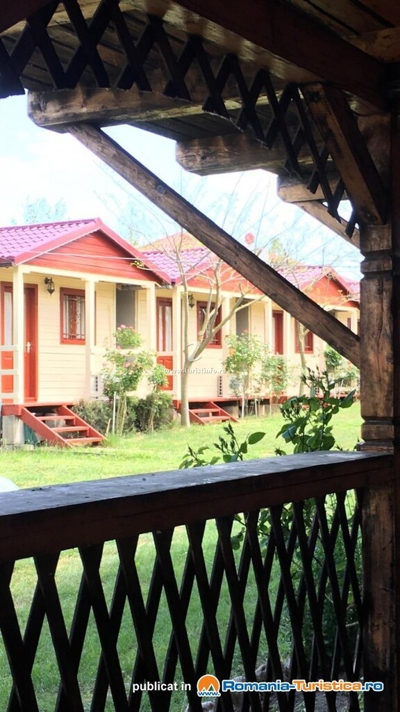 Camping Daviami Camp
