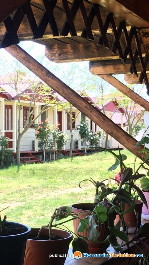 Camping Daviami Camp