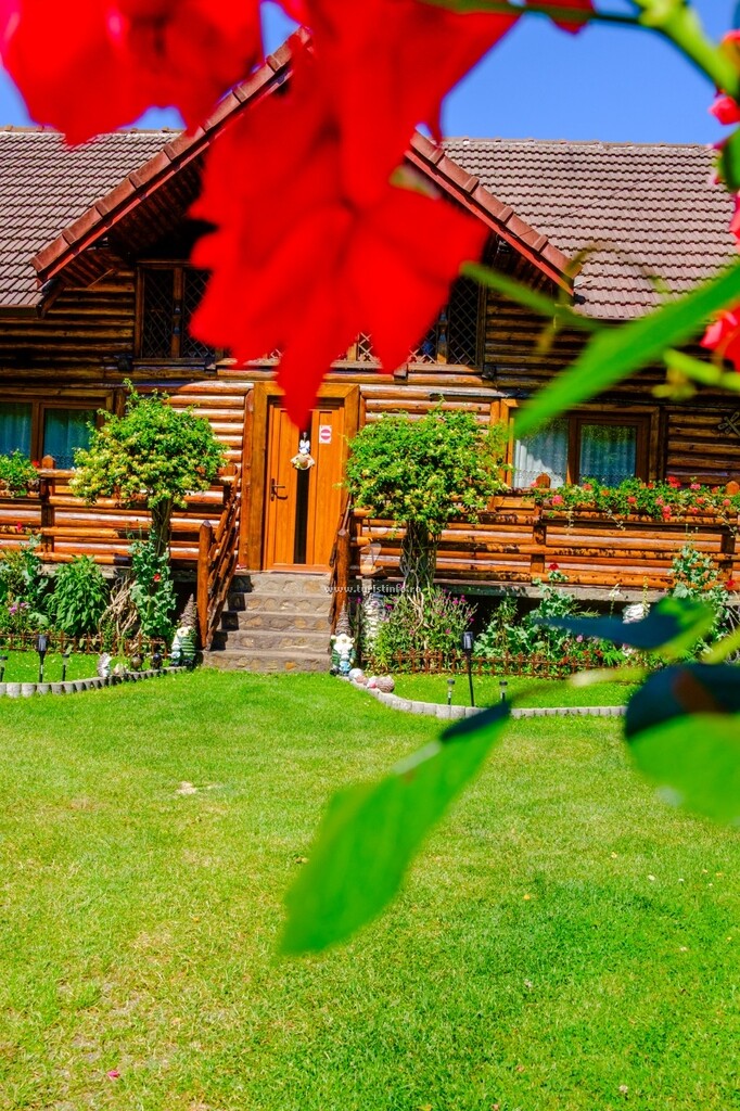 Casa Bunicii
