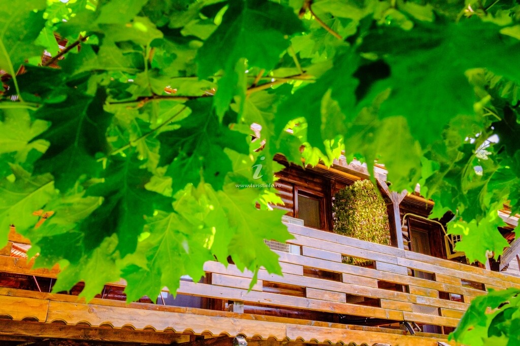 Casa Bunicii